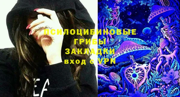 мдпв Вяземский