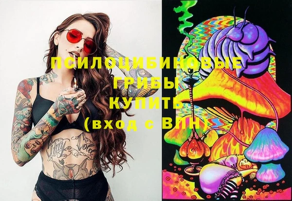 стафф Мегион