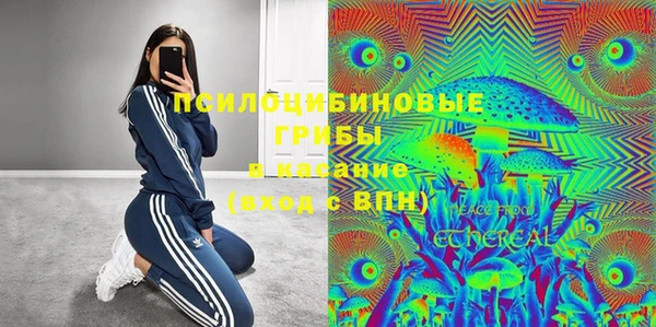 трава Медвежьегорск