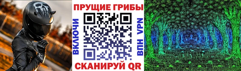 цены Андреаполь Галлюциногенные грибы Psilocybine cubensis